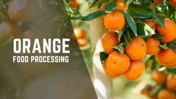 Building an Orange Food Processing Plant in Madhya Pradesh
