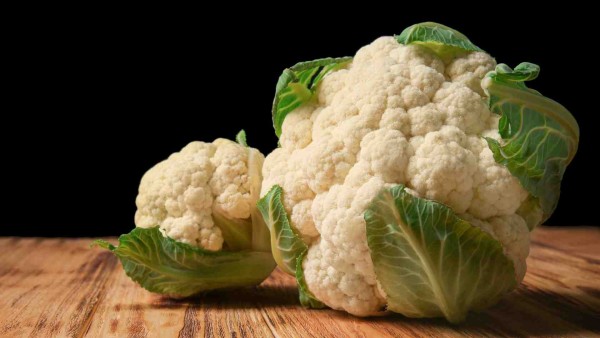 Processing Cauliflower in Madhya Pradesh