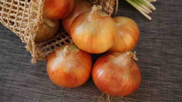 Processing Onions in Madhya Pradesh