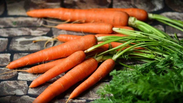 Processing Carrots in Madhya Pradesh