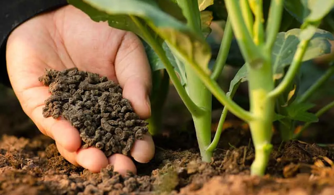 Bio-fertilizers - Become distributor for Fertilizers